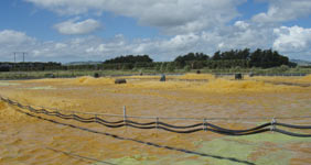 fonterra
